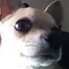eligore3 - @eligore3 - TikTok