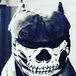 elijah - @eli_gore_truckluver57 - Instagram