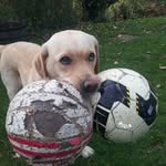 Eli Goren - @eligoren5 - Instagram
