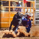 Eli Green - @elijah_green7 - Instagram