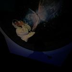 Eli Green - @thatboul_eli - Instagram
