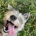 Eli Greer - Facebook