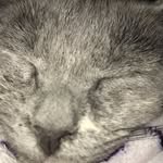 Eli Gregory - @scoodable - Instagram