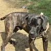 Eli Gregory - @eli.gregory8 - TikTok