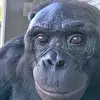 Eli Gregory - @eli.gregory - TikTok