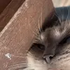 Eli Gregory - @eli.gregorylee - TikTok