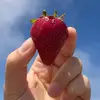 eli grey - @eli.grey5 - TikTok