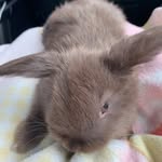 Eli•Grey - @eligrey_ - Instagram