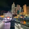 Eli Grossmann - @eligrossmann - TikTok