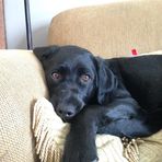 Eli Grubbs - Facebook