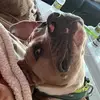 Elizabeth Grubbs - @elizabethgrubbs - TikTok
