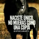 alejandro - @eliguardiola08 - Instagram