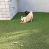 eli gueta - @guc101 - TikTok