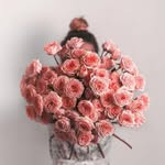 eli.hadad - @eli.hadad66 - Instagram