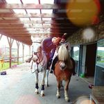 Elisabeth Hallmann - @elisabethhallmann - Instagram