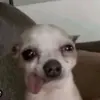 elihanna - @eli.spam_43 - TikTok