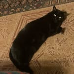 Eli Hardin - @spicy.snek214 - Instagram