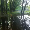 eli - @eli.harding0 - TikTok