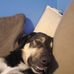 Eli Hatfield - Facebook