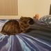 Elise Hayward - Facebook