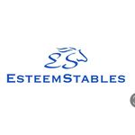 Elisa Held - @esteemstables - Instagram