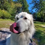 eli h - @eliheller99 - Instagram