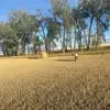 Eli Heller - @eli.heller0 - TikTok