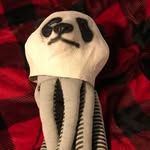 Eli Bruce Herring - @eliherring12 - Instagram