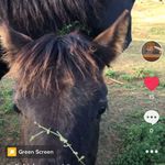 @eli_hickman2025 - Instagram