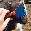 Eli Hickman - @eli.hickman5 - TikTok