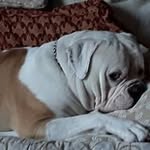 Eli Hill - @eli.hill.1962 - Instagram