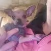 ELI HINSON - @eli.hinson11 - TikTok