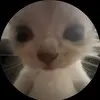 Pierre - @elithite - TikTok