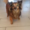 elisabethhoch858 - @elisabethhoch858 - TikTok