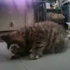 eli.holden.draper - @eli.holden.draper - TikTok
