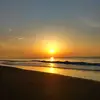 Eli_Holland - @eli_holland - TikTok
