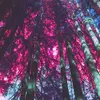 Eli Holt150 - @dudecalledelijah - TikTok