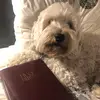 Eli Holt - @eli.holt - TikTok
