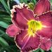 Elly Holtman - Facebook