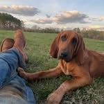 Eli horsley - @eli_horsley57 - Instagram