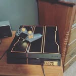 Eligh Horsley - @elighhorsley - Instagram