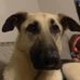 Eli Howard - Facebook