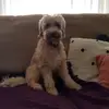 eli huber - @paulahuber635 - TikTok