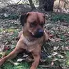 Eli Kastenhuber593 - @elikastenhuber593 - TikTok