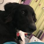 Eli - @eli_huff_ - Instagram