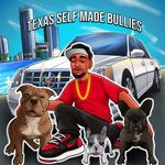 Eli Huff - @texas_selfmade_bullies - Instagram