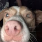Eli Huff - Facebook