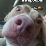 Eli Huff - @_grimy_is_epic - Instagram