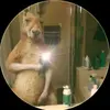 SoyElihu - @soyelihuff - TikTok