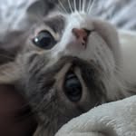 Eli - @eli_humphreys_ - Instagram